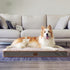 XXL Dog Bed, Extra Large Waterproof Orthopedic Bed with Removable Washable Cover for Large Dogs, Egg-Crate Foam, Light