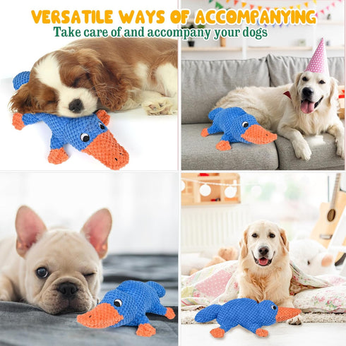 Vitscan Squeaky Dog Toys for Large Breeds, Tough Plush Stuffed Platypus, Interactive Chew Toy for Small Dogs