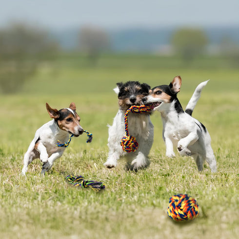 Puppy Teething Toys for Small Dogs, 5 Pack Cotton Rope Toy for Small Breeds, Durable Interactive Tug of War Toys