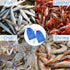 Dzlooppk 2Pcs Crab Trap Bait Bags, Portable Fish Trap with Locker Crab Snare Mesh Bait Traps Crabbing Equipment