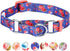 Blueberry Pet Large Martingale Safety Training Dog Collar, Irish Blue, Heavy Duty Adjustable, Rose Print