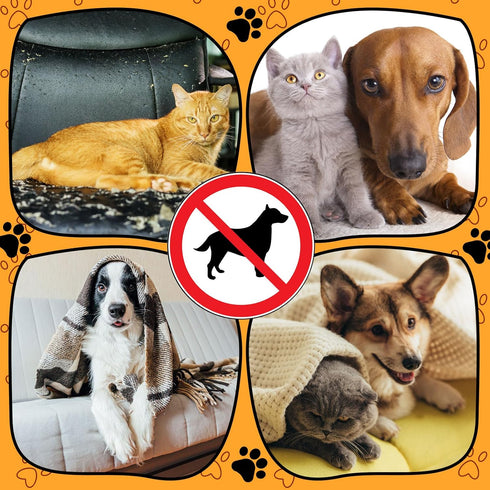 Pet Deterrent Mat to Keep Dogs Off Couch and Furniture, 72x56.3x0.04in Pain-Free Non Electric Repellent Mat