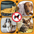 Pet Deterrent Mat to Keep Dogs Off Couch and Furniture, 72x56.3x0.04in Pain-Free Non Electric Repellent Mat