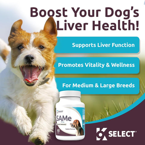 K9 Select SAM-e for Medium and Large Adult Dogs, 60 Tablets, 200mg Active S-Adenosyl L-Methionine