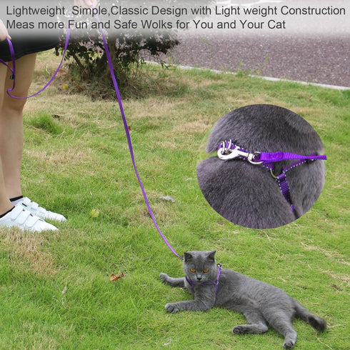 AMAGOOD 6 FT Cat Leash, Durable Traditional Style with Easy Collar Hook, Great for Cats (3/8 in x 6 ft, Black and