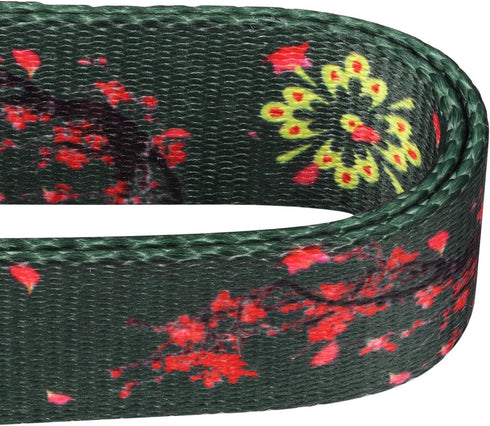 Hyhug Pets Double Padded Handles Leash - 18 inches and 6 Feet Leashes for Medium to Large Dogs