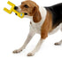 NFL Miami Dolphins Mega- Chew Hard Nylon Bacon-Flavored Dog Bone Football Goal Post Chew Toy. Interactive Tasty Fun Dog