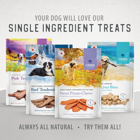 3.9oz 110 Caledon Farms Beef Tendersticks All Natural Dog Treats / Grams