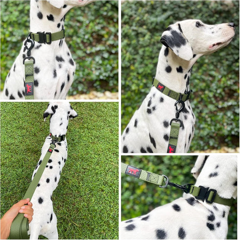 Tuff Pupper Waterproof Action Collar - Heavy Duty Tear Proof Dog Collar with Rust-Proof Hardware for Active Dogs