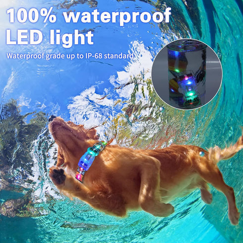 2 Pack Light Up Dog Collars, LED Rechargeable Waterproof Buckle Glow Collar for Medium Large Dogs, Neck 14.17-24.8"
