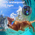2 Pack Light Up Dog Collars, LED Rechargeable Waterproof Buckle Glow Collar for Medium Large Dogs, Neck 14.17-24.8"