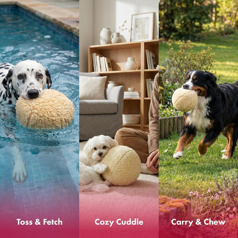 00978 10-Inch Pet Lou Colossal Dog Chew Toy, Jumbo Ball