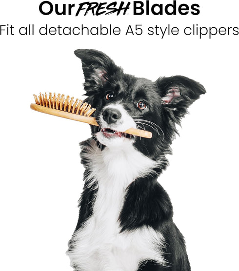 15W 3/64" (1.0 mm) A5 Fresh Dog Grooming Blade, Cut, Fits Andis, Oster, Wahl Detachable Clippers, High-Carbon Steel