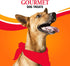 Good 'n' Fun Triple Flavor Ribs, 24 Ounces, Rawhide Chews for All Dogs