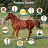 13Pcs Set Horse Grooming Kit for Bathing, Horse-Brush with Mesh Bag, Shower Brushes, Braiding and Curry Comb, Sweat