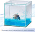Aqueon Pure Betta Beads, Blue Color