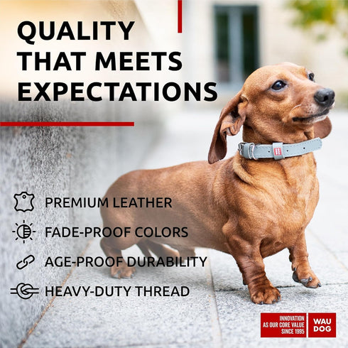 WAUDOG Long Lasting Leather Dog Collar for Large, Medium & Small Dogs - Adjustable Classic Puppy Collars