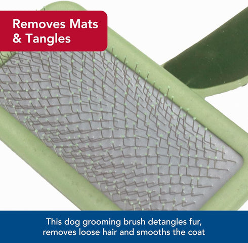 Coastal Pet Safari Dog Soft Slicker Brush, Dog Grooming Brush for Shedding, Small, 6.5" x 2.5" for Dogs with Short,