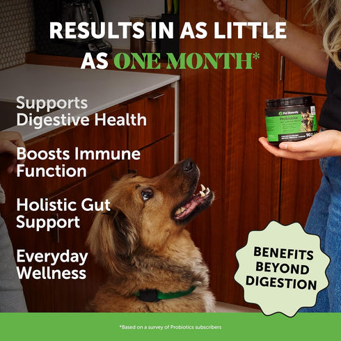 Probiotics for Dogs for Occasional Diarrhea & Bowel Support, Digestive Enzymes with Prebiotics for Gut Health, Immunity