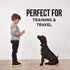 Natural Rapport Beef Trachea Dog Treats - All Natural Chews for Small and Large Dogs, 3 Chews