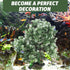 Aquarium Landscape Tree - Artificial Plastic Plants Tree Decoration with Resin Base for Fish Tank