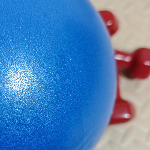 Celwchx 9 Inch Mini Exercise Ball - Portable Non-Slip Surface Yoga & Pilates Ball for Core Training, Fitness - Home