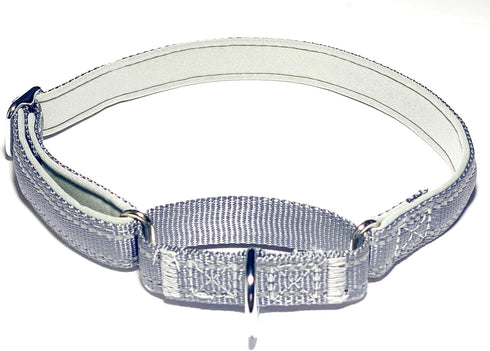Martingale Dog Collars: Reflective Safety Puppy Collar, Adjustable Soft Nylon Training Collar for Small Medium Large