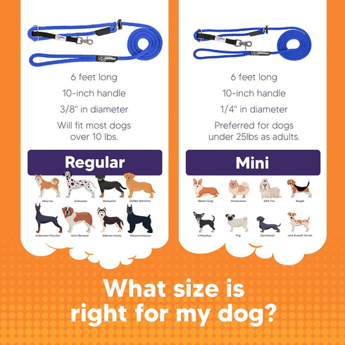 Heather's Heroes Sidekick Dog Headcollar with Leash, Effective Training Tool for Leash Reactivity (Blue, Mini)