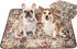 Qeils Washable Pee Pads for Dogs, 2 Pack Reusable Puppy Pads 36"x41"