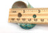 PEPPERLONELY 2 2-1/2 Inch 3 Inch PC Natural Large Hermit Crab Shells, Green Blue Gade Turbo, ~