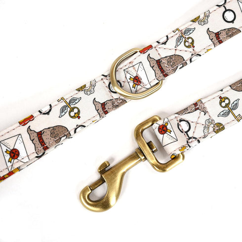 Organic Cotton Dog Leash, 6FT - Brass Hardware for Small, Medium, Large Breed Walking, Running, Training