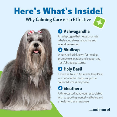 Pet Wellbeing Calming Care for Dogs - Vet-Formulated Liquid Supplement 2 oz - Ashwagandha & Holy Basil Blend