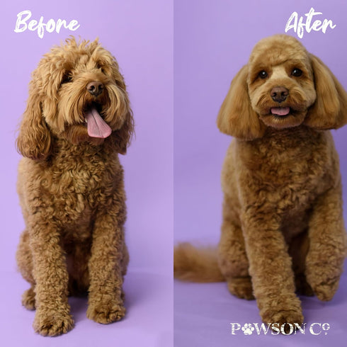 Pawson Dog Shampoo Bar - Natural Pet Shampoo with Rice Water and Aloe, Puppy Essentials, Peony Vanilla Scent