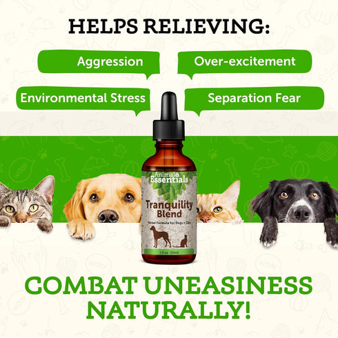 Animal Essentials Tranquility Blend for Dogs & Cats, Calming Supplement, 1 Fl Oz