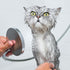 Eye Envy Moisturizing Pet Shampoo 16oz | Gentle, Fragrance Free, Cleans, Softens, Adds Shine, Safe for Puppies & Kittens