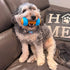 SPOT 5.5 Bam-Bones Plus Gigglers Dumbbell Durable Dog Chew Toy, for Medium Aggressive Chewers, Bamboo Fiber & Nylon
