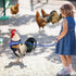 LUODAKA 4Pcs Adjustable Chicken Harness Safe Convenient Breathable Comfortable Suitable for Small Animal Training Can