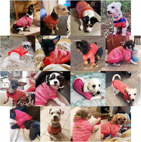 Jecikelon Red Dog Sweater for Small Dogs XXS XS, Soft Winter Clothing Warm Outfit for Puppies, Cat Apparel
