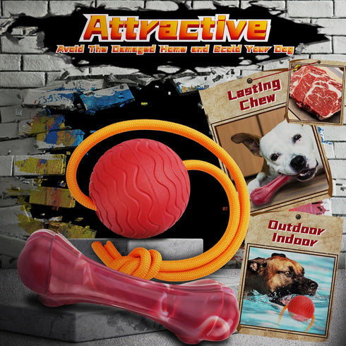Heavy Duty Various Dog Chew Toys for Aggressive Chewers, 9 Pack Indestructible Toys for Medium Large Breed Dogs