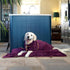 Lucky Pooch Dog Robe - Luxurious Dog Bathrobe - Ultra Absorbent Dries Your Dogs in Minutes! Double-Layer, Super Soft