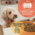 Canidae All Life Stages Dry Dog Food, Multi-Protein Formula, 5 lbs.