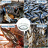 Compact Foldable Crab Fishing Net & Basket for Minnows, Crawfish, and Shrimp