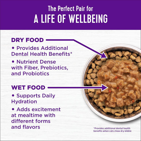 Wellness Complete Health Natural Dry Cat Food with Wholesome Grains, Real Meat (Adult Cat, Chicken & Chicken Meal