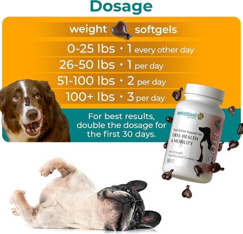 1TDC WorksSoWell Dual Action Joint Supplement for Dogs & Cats - 30ct for Hip and Joint Health