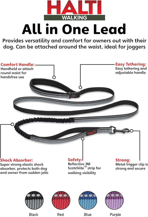 HALTI Active Leash - Award-Winning Bungee Dog Leash, Shock-Absorbing, Neoprene Padded Belt & Lead for Medium & Large