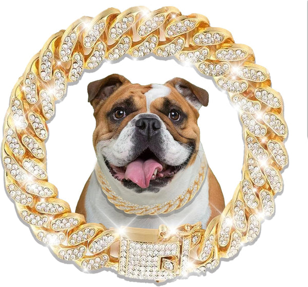 Gold Crystal Cuban Link Dog Collar, Metal Chain Necklace with Secure Buckle for Small Medium Large Dogs Cats (14 inch)