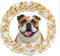 Gold Crystal Cuban Link Dog Collar, Metal Chain Necklace with Secure Buckle for Small Medium Large Dogs Cats (14 inch)
