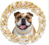 Gold Crystal Cuban Link Dog Collar, Metal Chain Necklace with Secure Buckle for Small Medium Large Dogs Cats (14 inch)