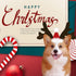 KUDES Dog Christmas Reindeer Antlers Headband, Classic Elk Hat Headwear Pet Costumes Accessories
