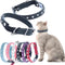 Studded Cat Collar, Genuine Leather Kitten Collar, Midnight Black, 12 x 1/2 inches, Breakaway with Bell
